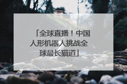 全球直播！中国人形机器人挑战全球最长猫道