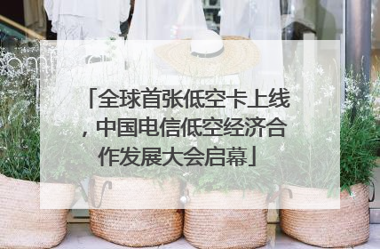 全球首张低空卡上线，中国电信低空经济合作发展大会启幕