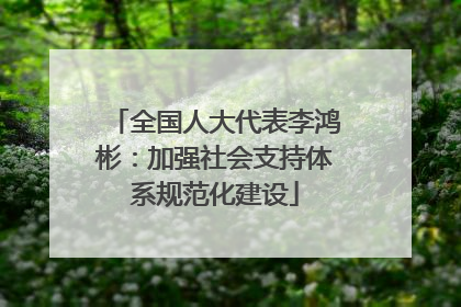 全国人大代表李鸿彬：加强社会支持体系规范化建设