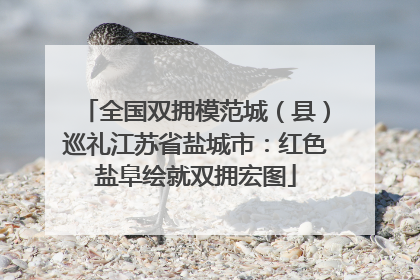 全国双拥模范城（县）巡礼江苏省盐城市：红色盐阜绘就双拥宏图