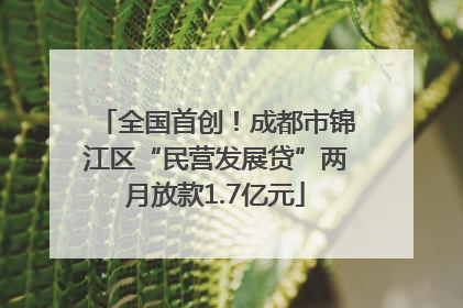 全国首创！成都市锦江区“民营发展贷”两月放款1.7亿元