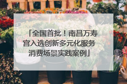 全国首批！南昌万寿宫入选创新多元化服务消费场景实践案例