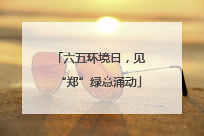六五环境日，见“郑”绿意涌动