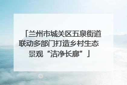 兰州市城关区五泉街道联动多部门打造乡村生态景观“洁净长廊”