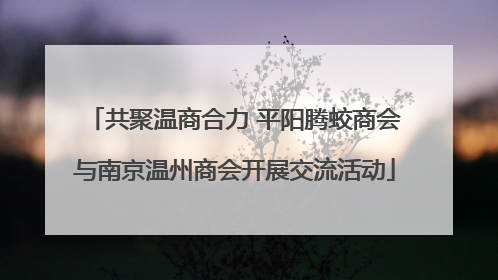 共聚温商合力 平阳腾蛟商会与南京温州商会开展交流活动