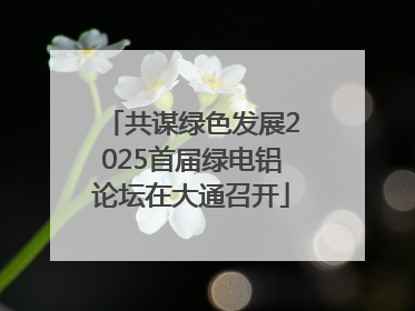 共谋绿色发展2025首届绿电铝论坛在大通召开