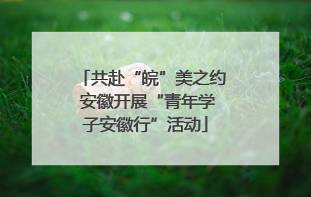 共赴“皖”美之约 安徽开展“青年学子安徽行”活动