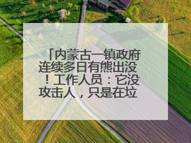 内蒙古一镇政府连续多日有熊出没！工作人员：它没攻击人，只是在垃圾桶翻找食物