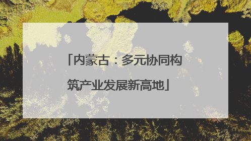 内蒙古：多元协同构筑产业发展新高地