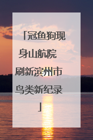 冠鱼狗现身山航院 刷新滨州市鸟类新纪录