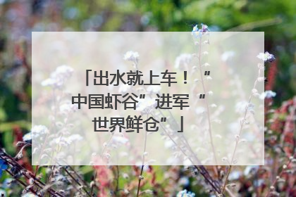 出水就上车！“中国虾谷”进军“世界鲜仓”
