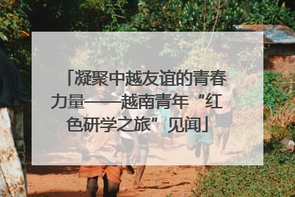 凝聚中越友谊的青春力量——越南青年“红色研学之旅”见闻