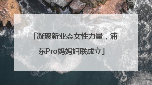 凝聚新业态女性力量，浦东Pro妈妈妇联成立
