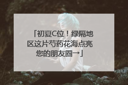 初夏C位！绿隔地区这片芍药花海点亮您的朋友圈→