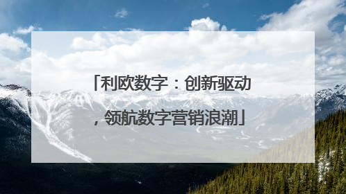 利欧数字：创新驱动，领航数字营销浪潮