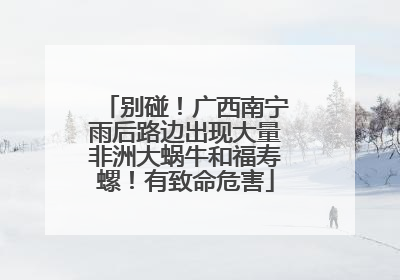 别碰！广西南宁雨后路边出现大量非洲大蜗牛和福寿螺！有致命危害