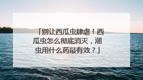 别让西瓜虫肆虐！西瓜虫怎么彻底消灭，潮虫用什么药最有效？