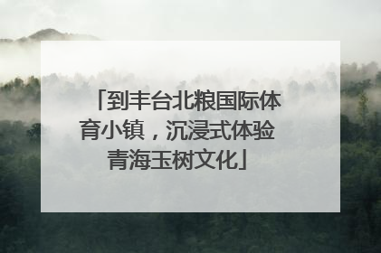到丰台北粮国际体育小镇，沉浸式体验青海玉树文化