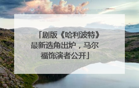 剧版《哈利波特》最新选角出炉，马尔福饰演者公开