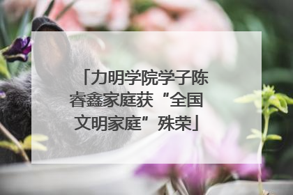 力明学院学子陈睿鑫家庭获“全国文明家庭”殊荣