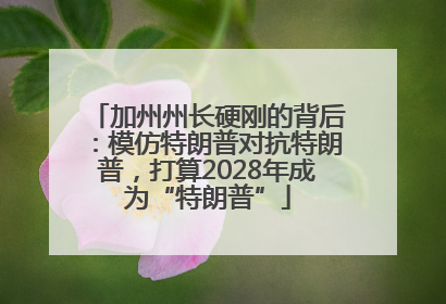 加州州长硬刚的背后：模仿特朗普对抗特朗普，打算2028年成为“特朗普”