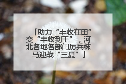 助力“丰收在田”变“丰收到手”，河北各地各部门厉兵秣马迎战“三夏”