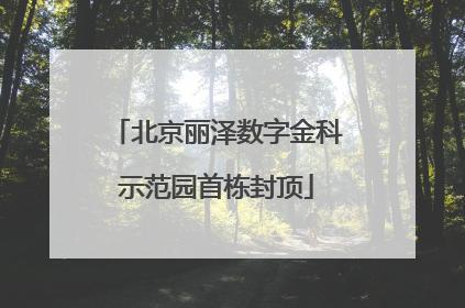 北京丽泽数字金科示范园首栋封顶