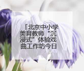 北京中小学美育教师“沉浸式”体验戏曲工作坊今日启动