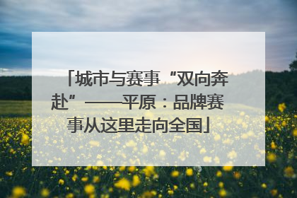 城市与赛事“双向奔赴”——平原：品牌赛事从这里走向全国