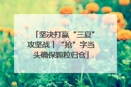 坚决打赢“三夏”攻坚战丨“抢”字当头确保颗粒归仓
