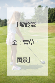 坡岭流金：萱草图景