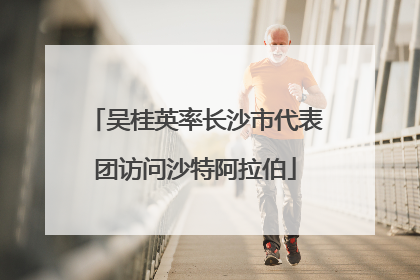 吴桂英率长沙市代表团访问沙特阿拉伯