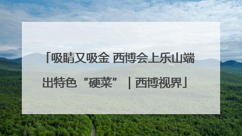 吸睛又吸金 西博会上乐山端出特色“硬菜”｜西博视界