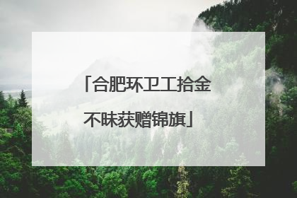 合肥环卫工拾金不昧获赠锦旗