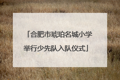 合肥市琥珀名城小学举行少先队入队仪式