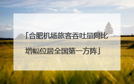 合肥机场旅客吞吐量同比增幅位居全国第一方阵