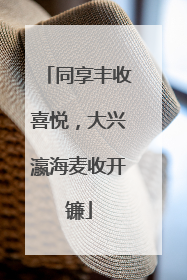同享丰收喜悦，大兴瀛海麦收开镰