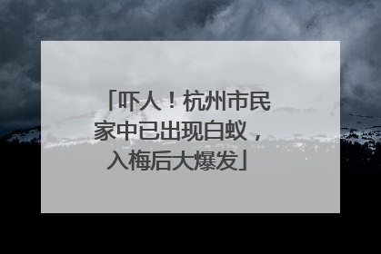 吓人！杭州市民家中已出现白蚁，入梅后大爆发