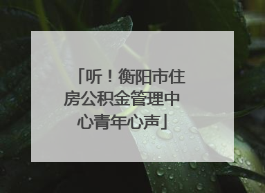 听！衡阳市住房公积金管理中心青年心声