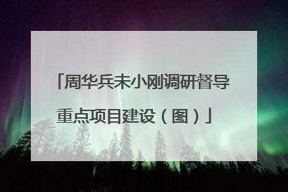 周华兵未小刚调研督导重点项目建设（图）