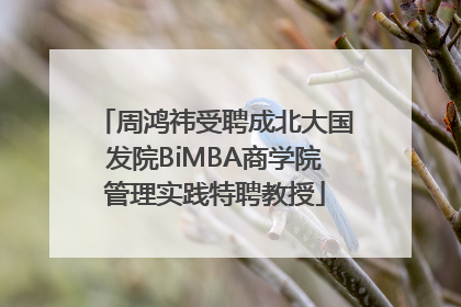 周鸿祎受聘成北大国发院BiMBA商学院管理实践特聘教授