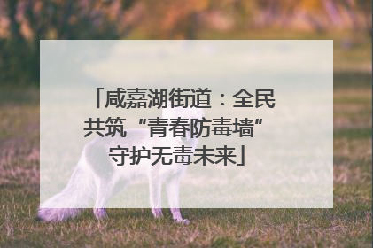 咸嘉湖街道：全民共筑“青春防毒墙” 守护无毒未来