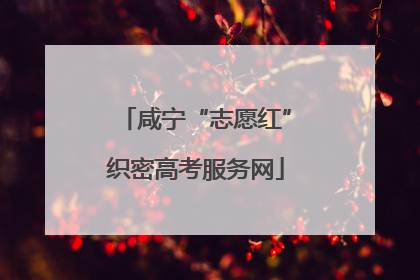 咸宁“志愿红”织密高考服务网