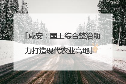 咸安：国土综合整治助力打造现代农业高地