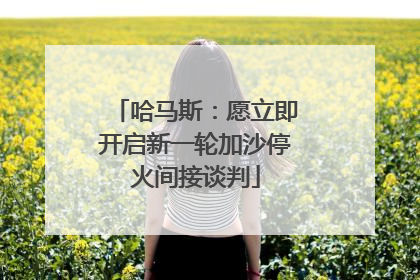 哈马斯：愿立即开启新一轮加沙停火间接谈判