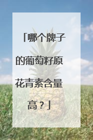 哪个牌子的葡萄籽原花青素含量高？