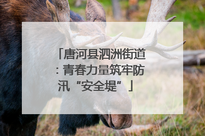唐河县泗洲街道：青春力量筑牢防汛“安全堤”