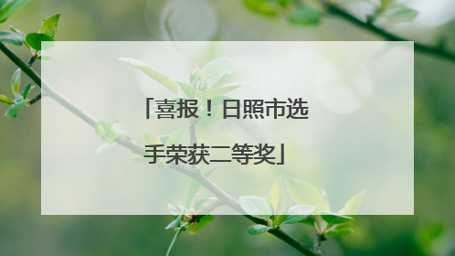 喜报！日照市选手荣获二等奖