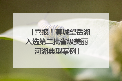 喜报！聊城望岳湖入选第二批省级美丽河湖典型案例