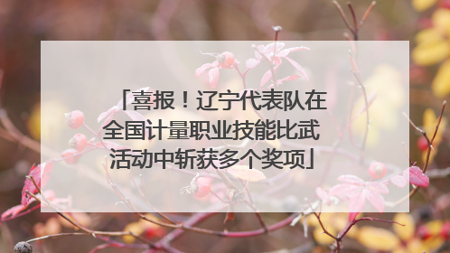 喜报！辽宁代表队在全国计量职业技能比武活动中斩获多个奖项